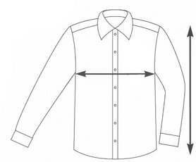 camicia.jpeg