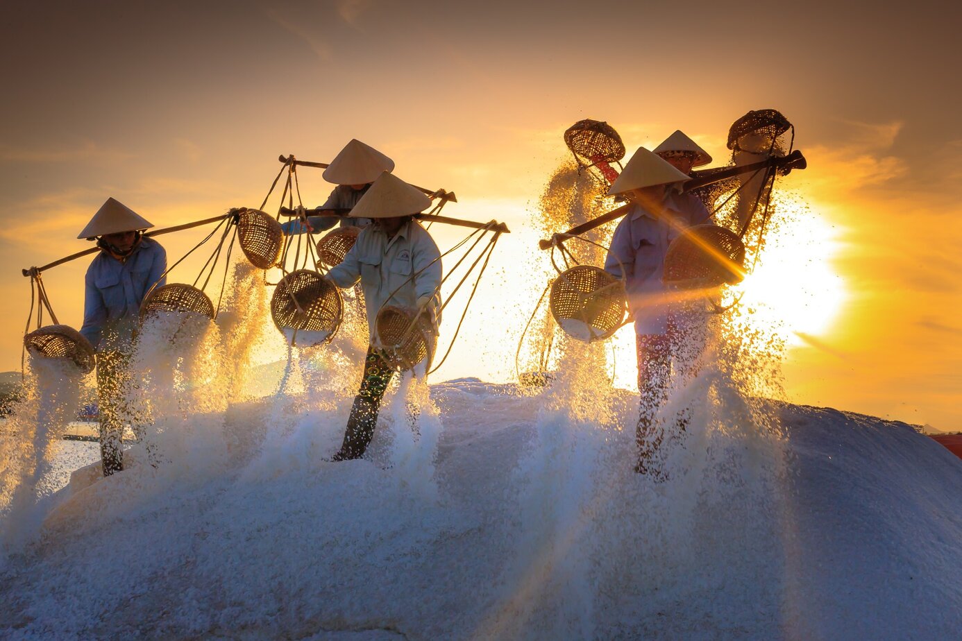export in vietnam