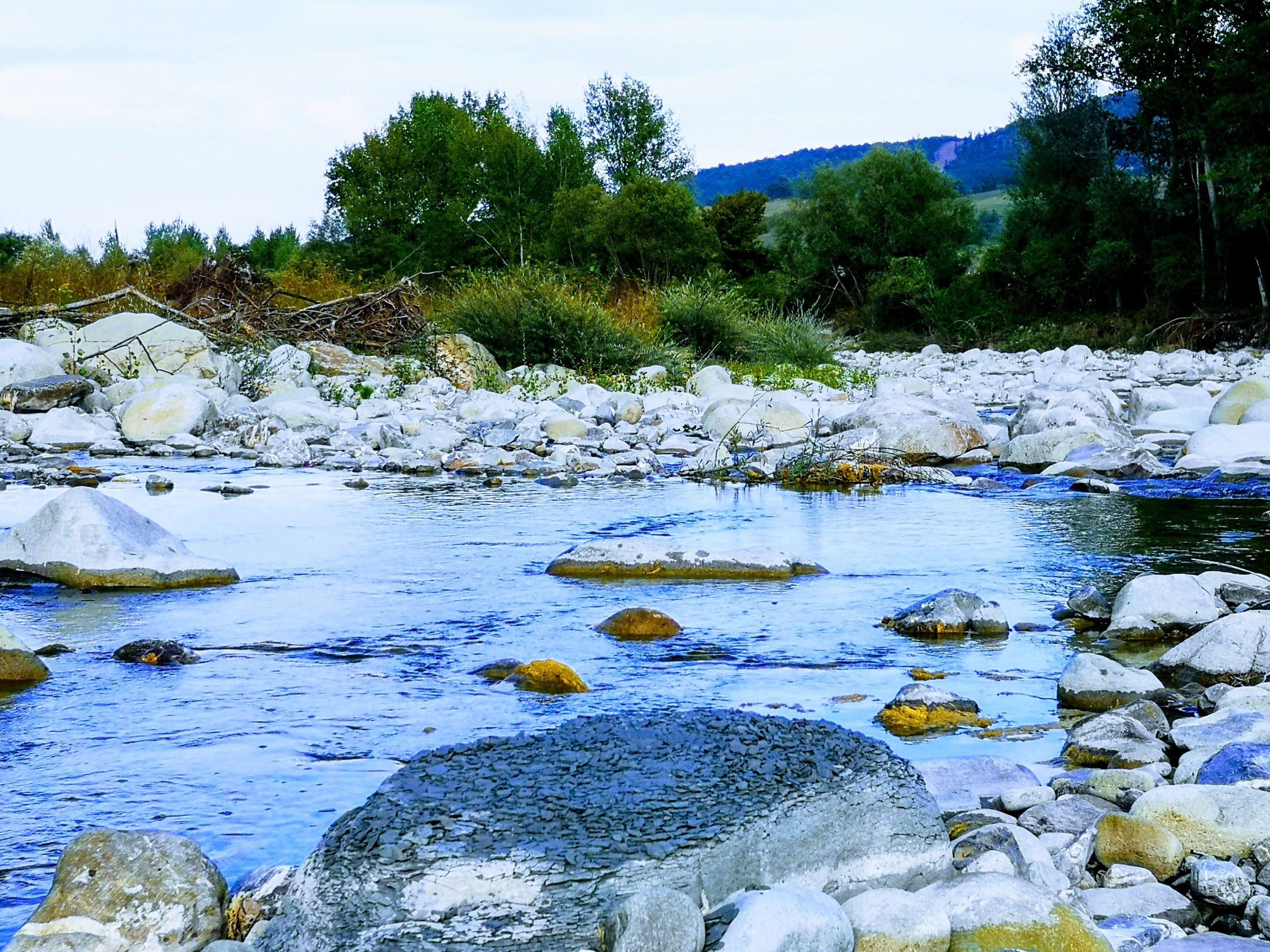 “Il giorno in cui abbiamo scelto di tornare indietro”