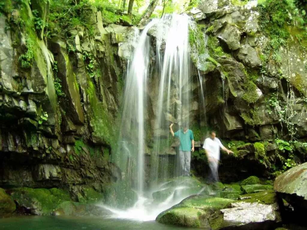 Vivere qui: la bellezza semplice e autentica della natura