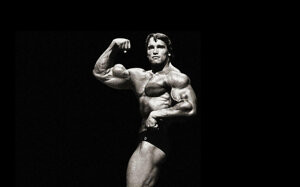 arnold-wallpaper-cqgf2mtqp138bv11.jpeg