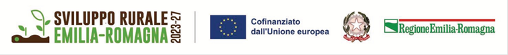 logo contributo logo contributo