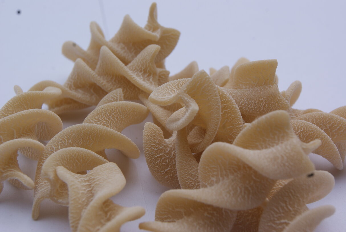 PASTA AGRICOLA BIO DELLA VALMARECCHIA