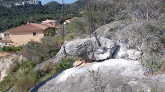 whatsapp image 2026-03-24 at 11.46.28.jpeg