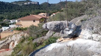 whatsapp image 2026-03-24 at 11.46.29.jpeg