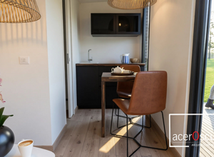tiny_haus_luxury_4_d4bnmhn2a_sd