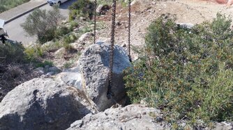 whatsapp image 2026-03-24 at 11.46.357.jpeg