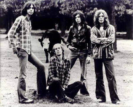 camel-1627230366.jpg camel-1627230366.jpg