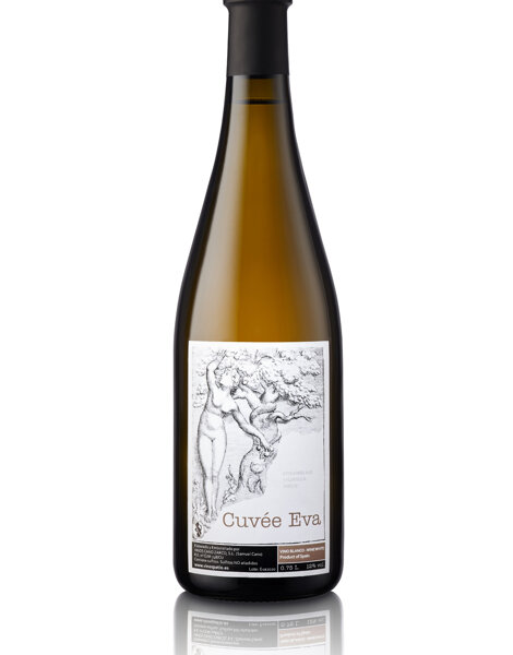 micmac_aco_baja.jpeg micmac_aco_baja.jpeg