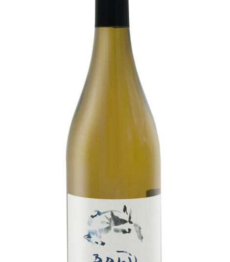 logo rigoni logo rigoni