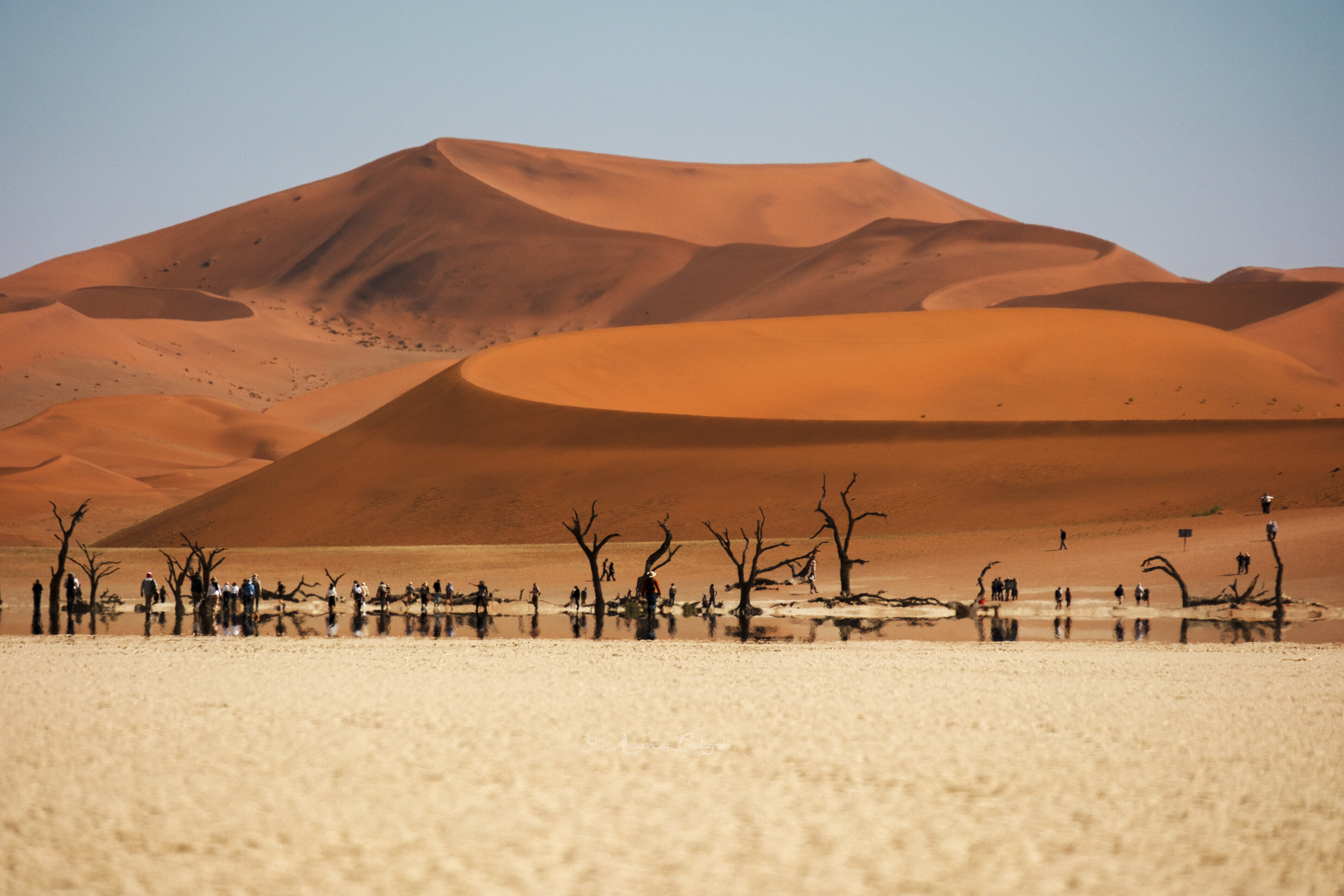 Miraggi in Namibia
