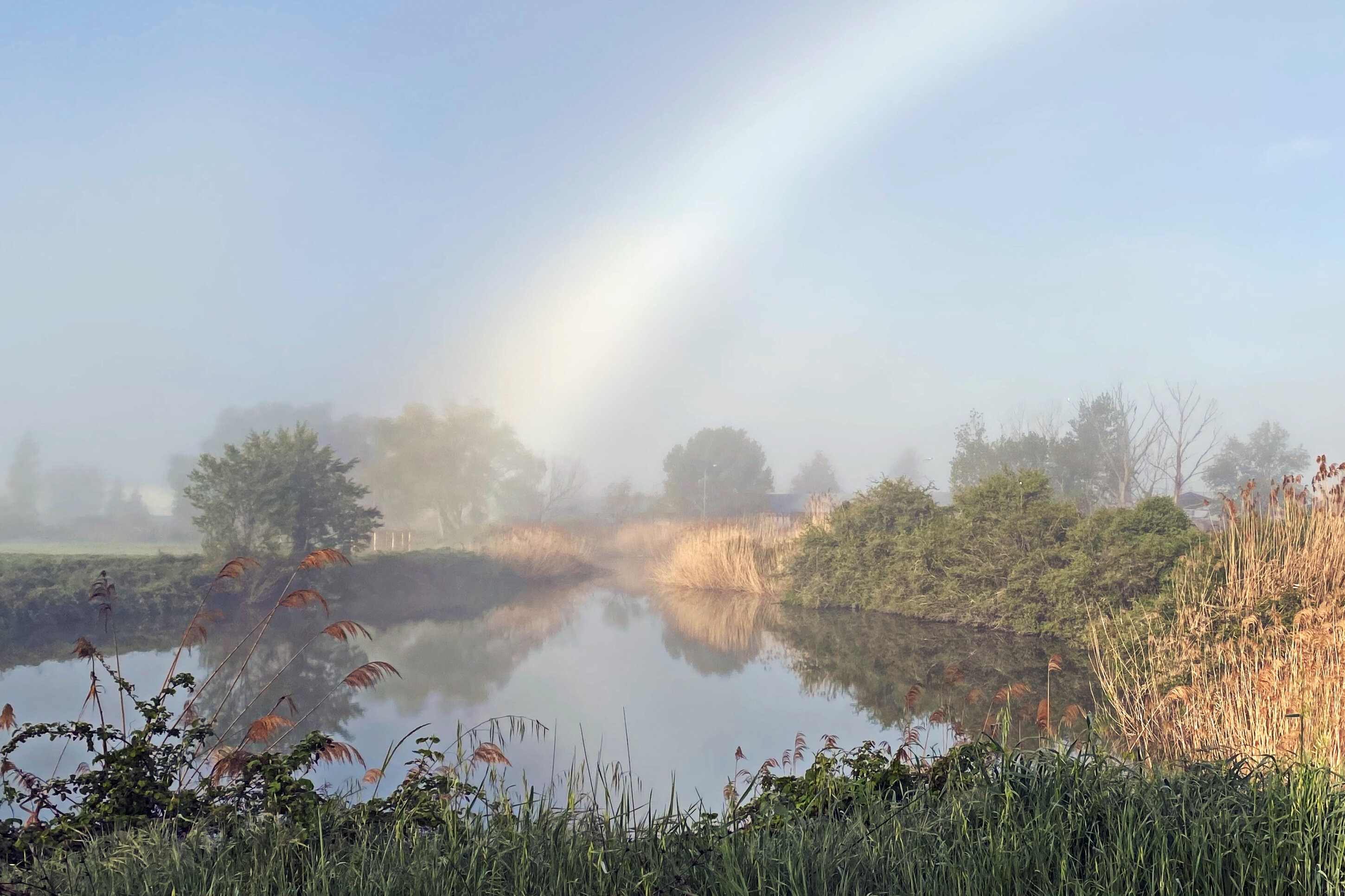 fogbow4.jpeg fogbow4.jpeg