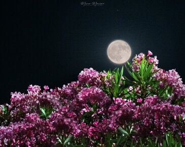 nightscape%20ar3664%20on%20a%20setting%20sun%20meniero%20italy.jpeg nightscape%20ar3664%20on%20a%20setting%20sun%20meniero%20italy.jpeg