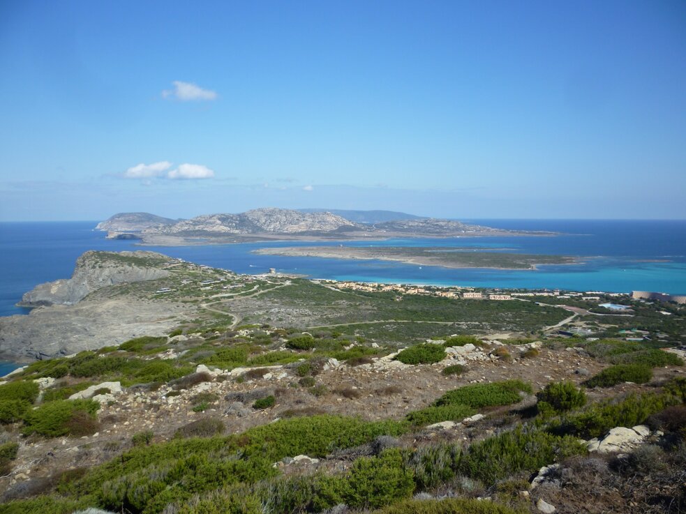 isola_dell_asinara_-_vista_da_torre_del_falcone.jpeg