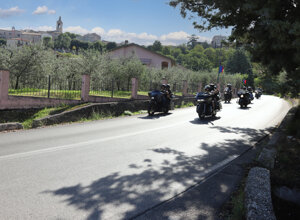 img_9222.jpeg