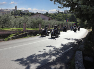img_9219.jpeg