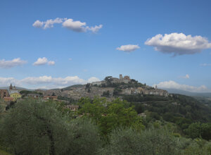 img_9205.jpeg