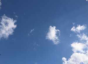 img_9323.jpeg