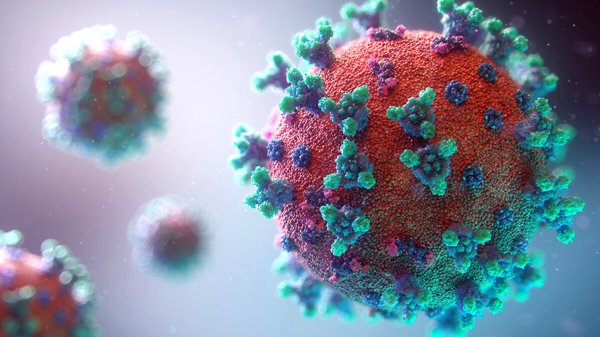Il Nostro Caro Microbioma: virtuosa sinergia tra Intestino e Cervello