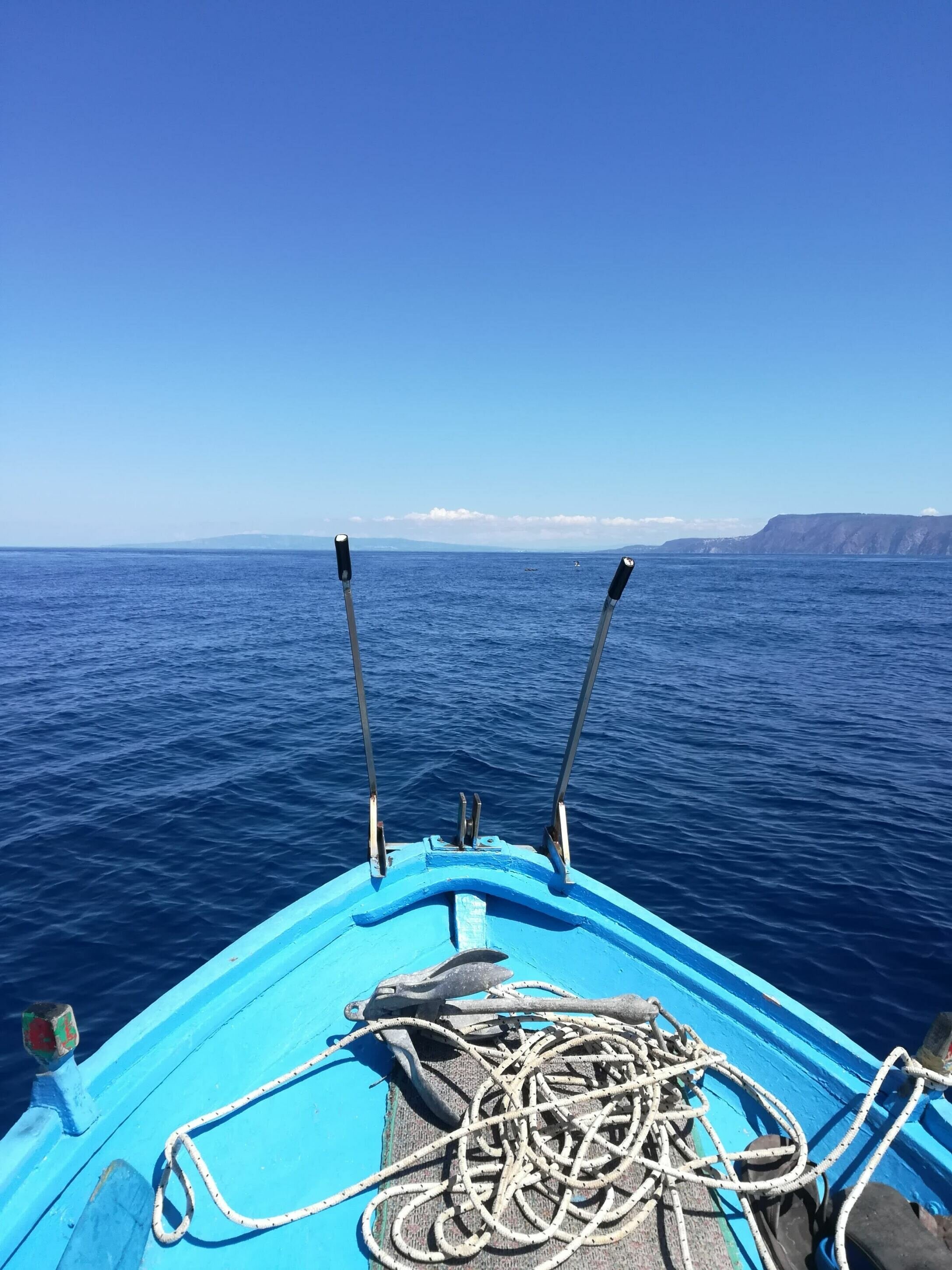 Caccia ai Grandi Predatori: Guida Avanzata per l’Angler Tecnico