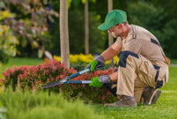 caucasian-professional-garden-worker-trimming-plan-2023-11-27-05-05-19-utc.jpeg