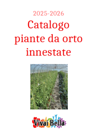 screenshot 2026-02-16 105841