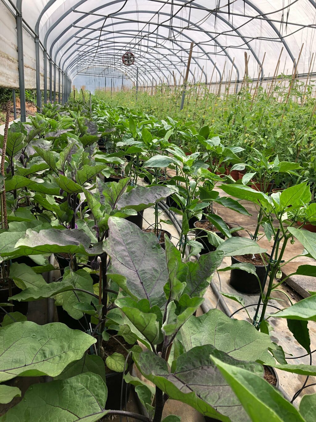 whatsapp image 2025-01-24 at 22.03.37 (2).jpeg