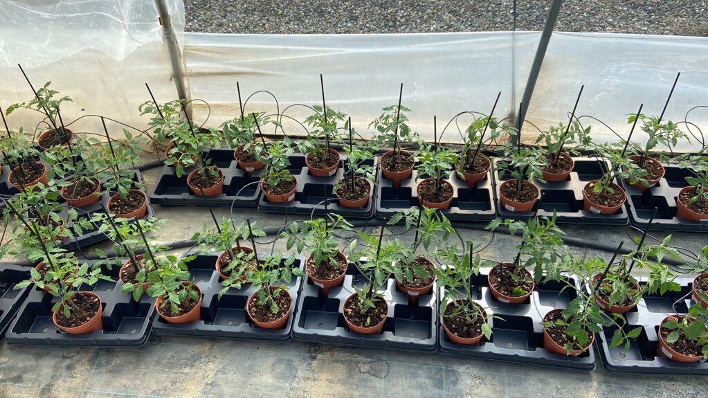 c3ac1c21-ff2f-44f9-ac15-7c9612ad1c31 (1).jpeg