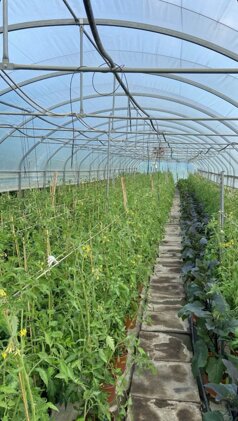 whatsapp image 2025-10-17 at 19.01.53.jpeg whatsapp image 2025-10-17 at 19.01.53.jpeg