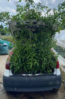 whatsapp image 2025-10-17 at 19.01.50.jpeg whatsapp image 2025-10-17 at 19.01.50.jpeg