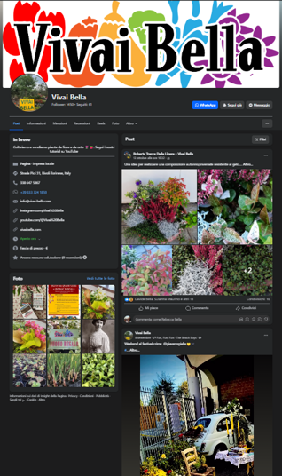 screenshot 2025-10-17 160811