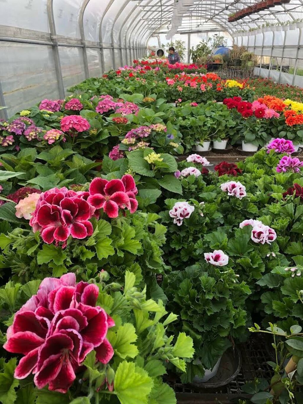 whatsapp image 2025-10-17 at 12.19.54.jpeg whatsapp image 2025-10-17 at 12.19.54.jpeg