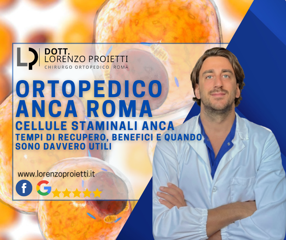 cellule staminali anca
