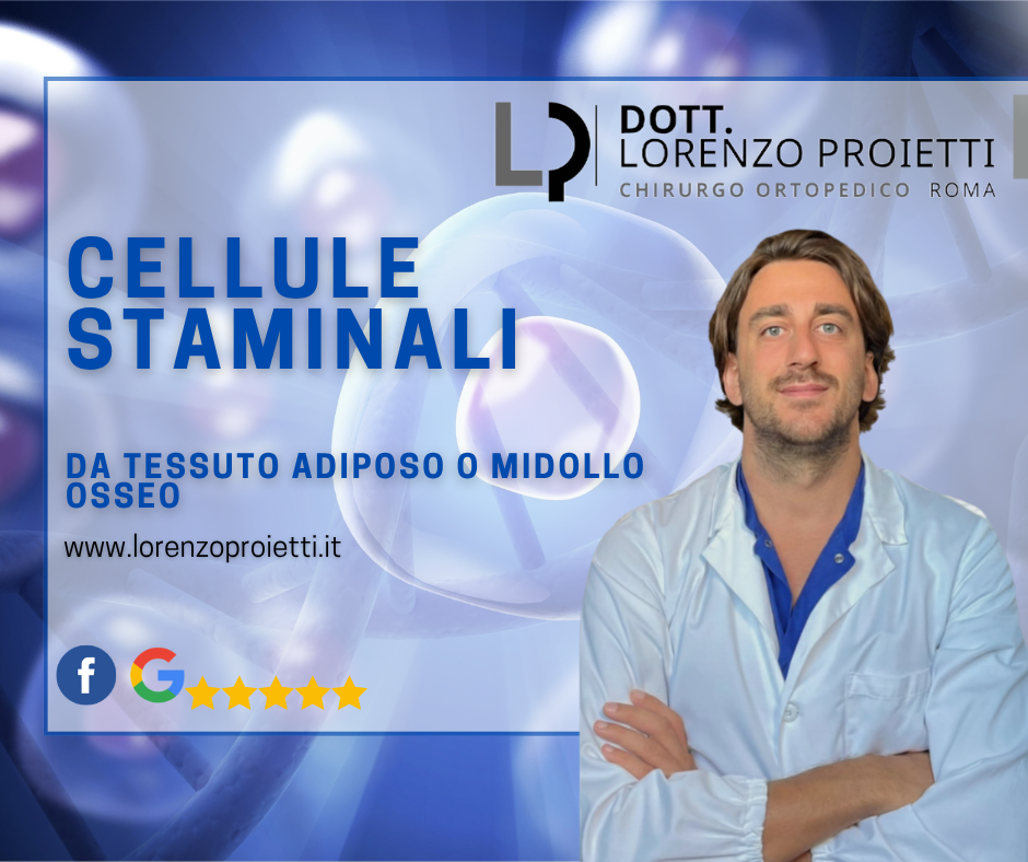 cellule staminali roma