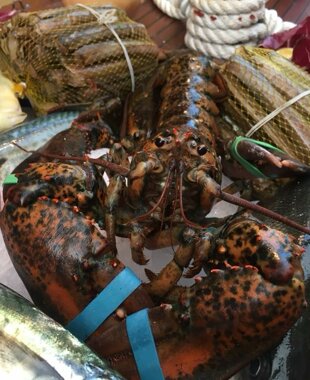 38882939_1932474673488325_4674229607069646848_n 38882939_1932474673488325_4674229607069646848_n