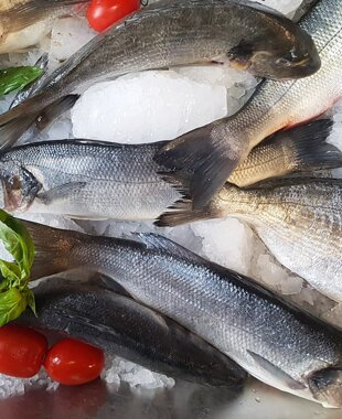 33355498_1816396211762839_5133000198104023040_n 33355498_1816396211762839_5133000198104023040_n