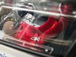 ferrari-f430-challenge-north-american-champion-2006-118-hotwheels-elite