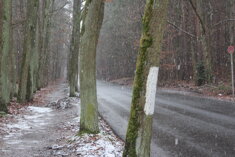 img_1392.jpeg