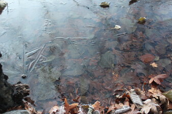 img_0999.jpeg