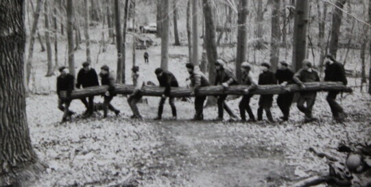 vintage forest 4.jpeg