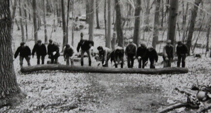 vintage forest 2.jpeg