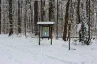 img_1962.jpeg