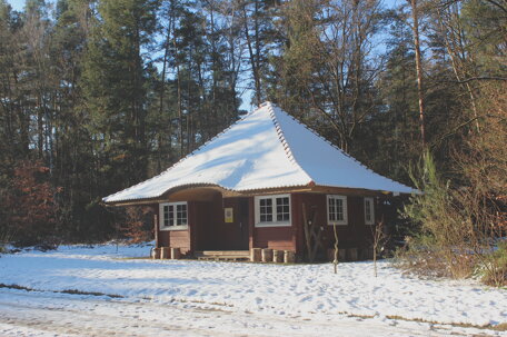 img_1559.jpeg