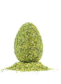 uovopasqua_sofì.jpeg uovopasqua_sofì.jpeg