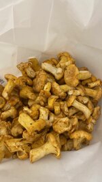 funghi-finferli-freschi-cantharellus-cibarius-kg-1