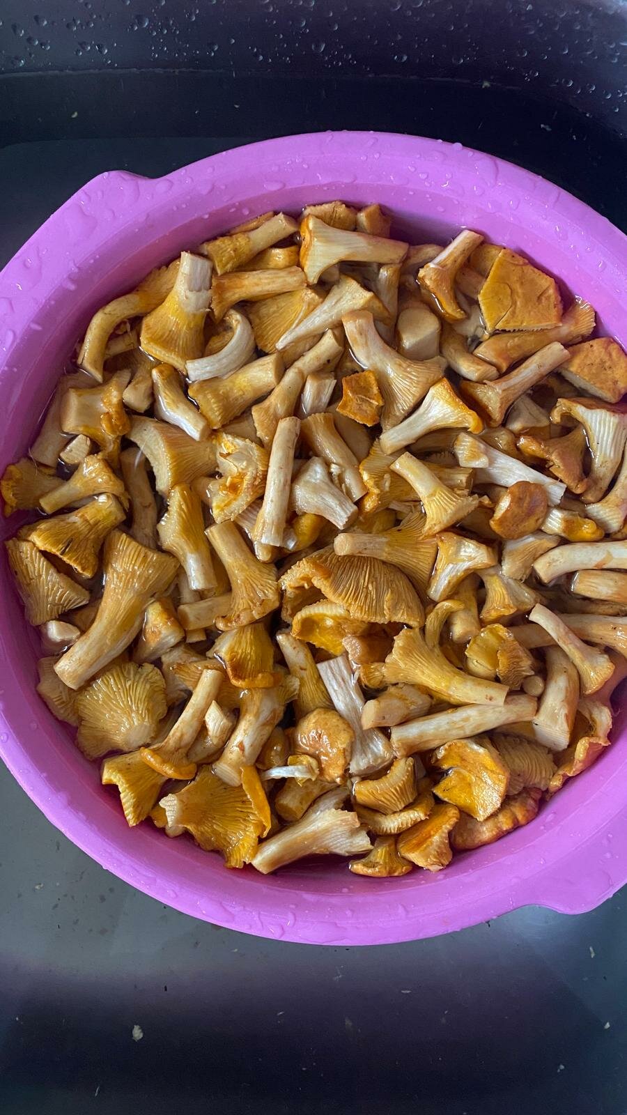 I funghi freschi si lavano? SI o NO? I funghi freschi si lavano? SI o NO?