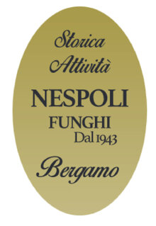 logo nespoli funghi.jpeg