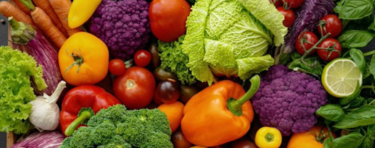 I funghi: cosa sono? verdura? I funghi: cosa sono? verdura?