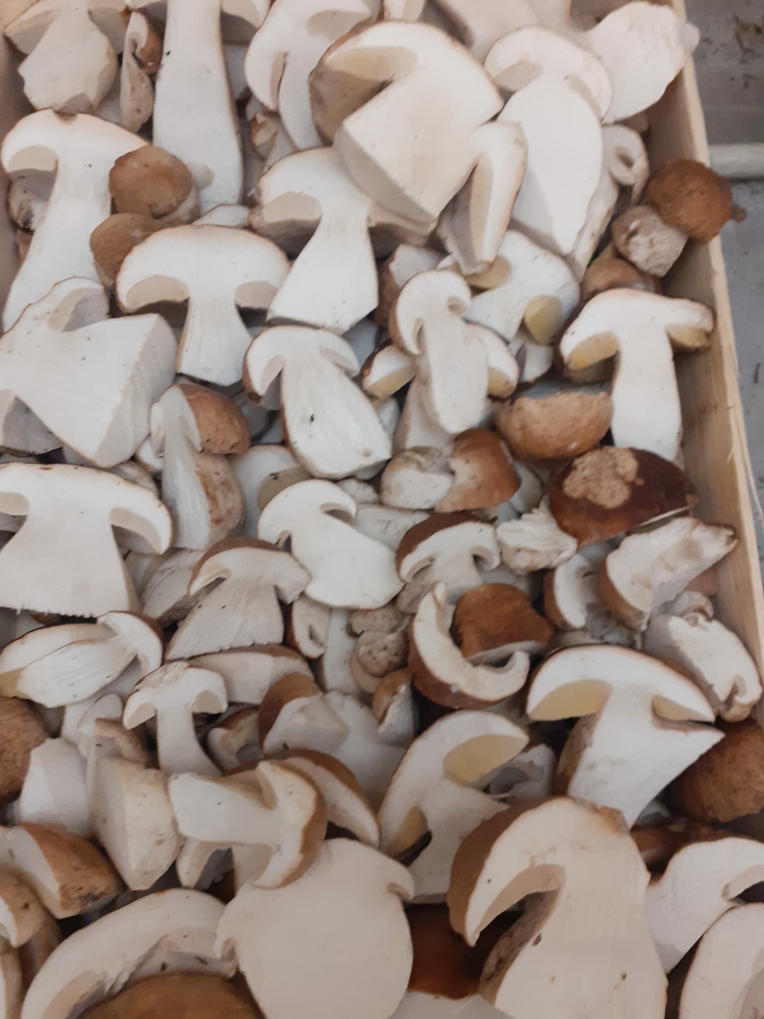 a74d810c-81f5-4d28-ab16-bd03c0241127.jpeg a74d810c-81f5-4d28-ab16-bd03c0241127.jpeg