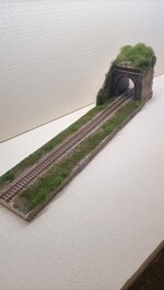 pd36-diorama-espositore-ferroviario
